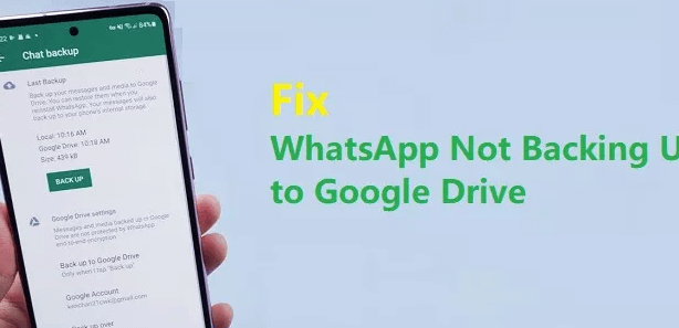 2024 cozuldu whatsapp google drive yedekleme neden calismiyor