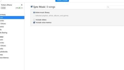 ipoddan bilgisayara muzik nasil aktarilir