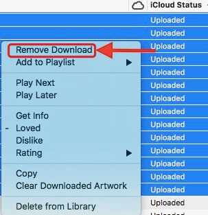 itunesdan sarkilari silme konusunda en kolay kilavuz