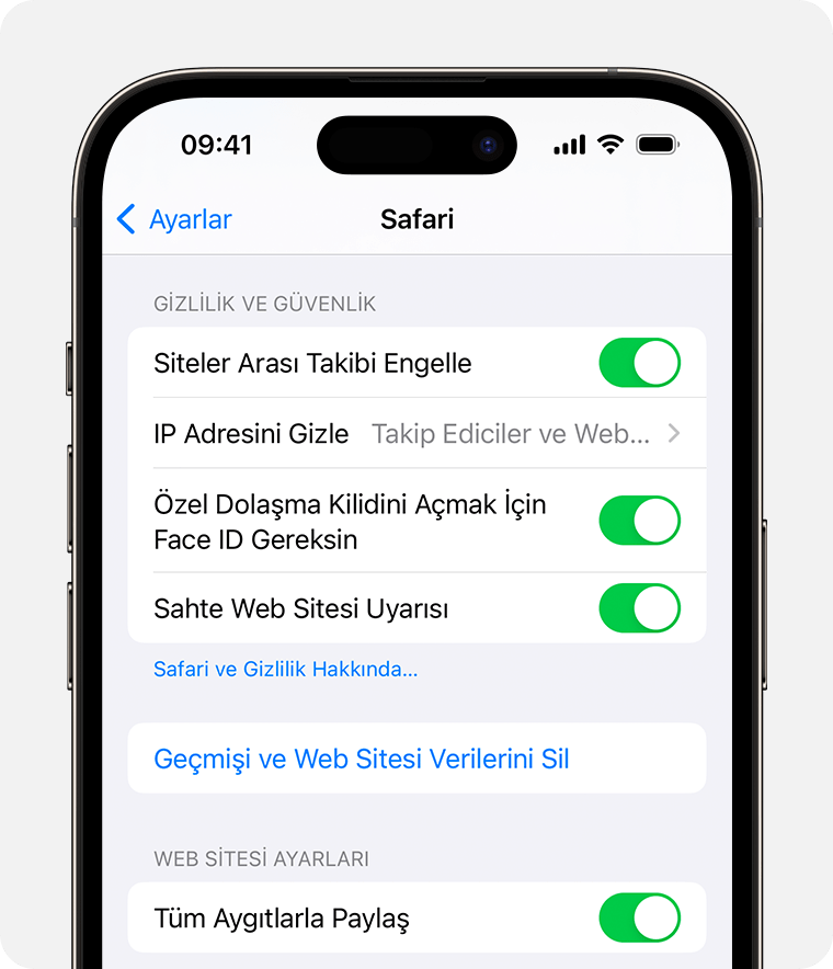 ios 17 iphone 14 pro settings safari clear history and website data