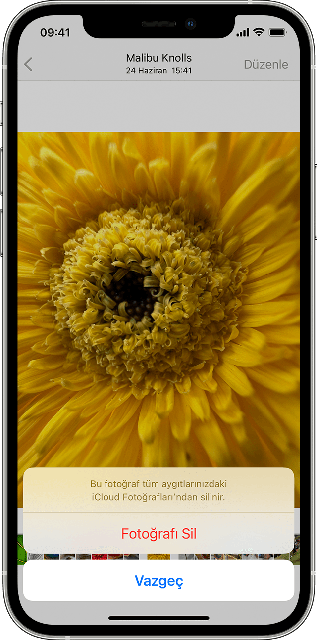 ios15 iphone12 pro photos delete photo