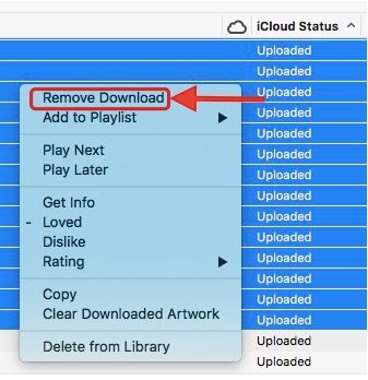 remove downloads itunes
